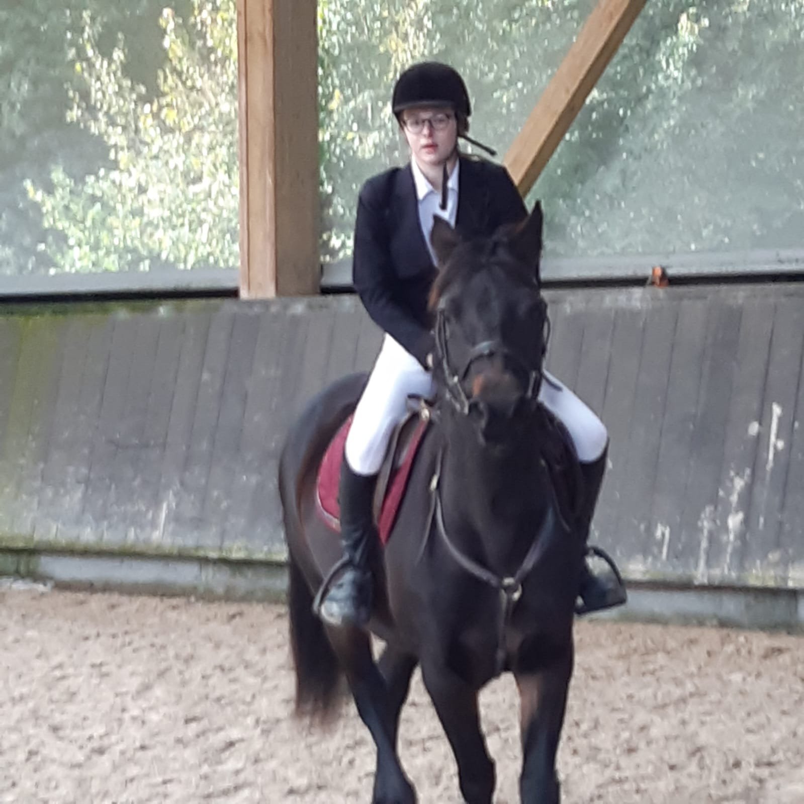 Equitation